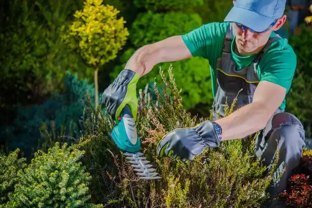 landscaping services Michigan Center